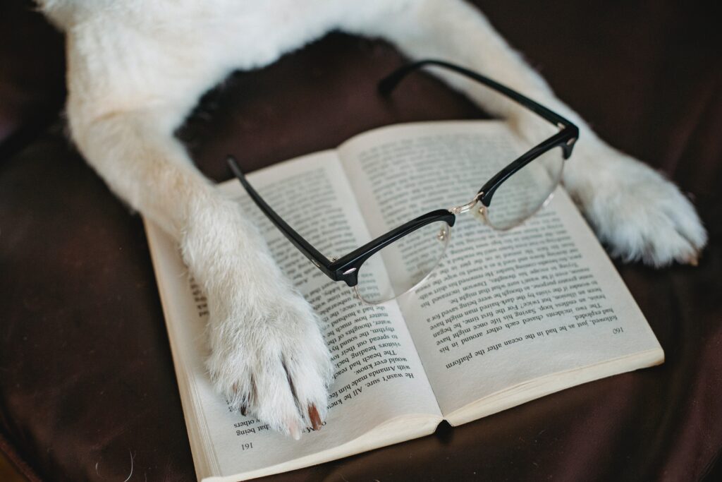 Boek over ras